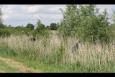 IMG 1437