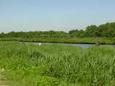 DSC01005