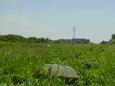 DSC01007