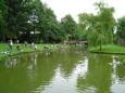 DSC00416