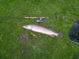 Snoek 82cm Spinner-Shad,3 Wegsluis,28-10-2007.Praktijkdag.
